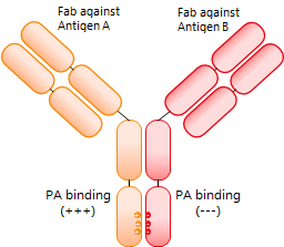 圖片3.png 圖片3.png